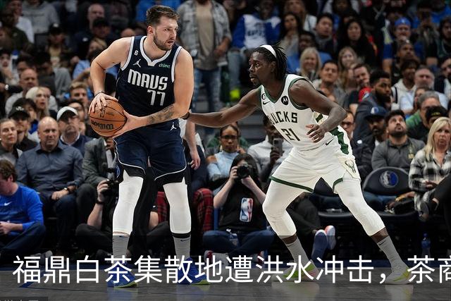 福鼎白茶集散地遭洪水冲击，茶商誓言坚决不售劣茶